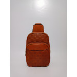 Louis Vuitton bodybag