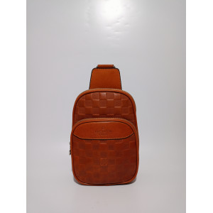 Louis Vuitton bodybag