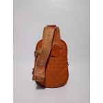 Louis Vuitton bodybag